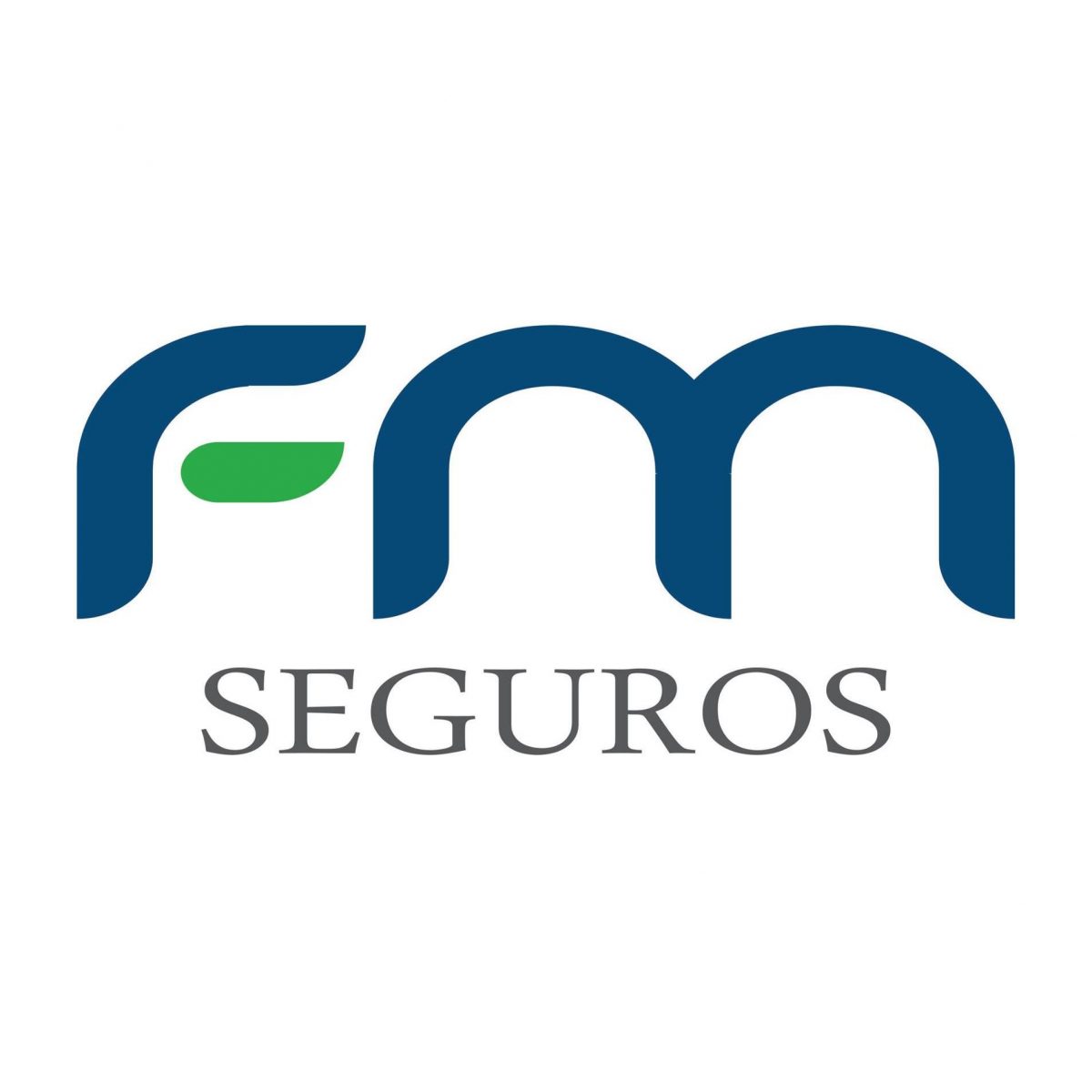 FM SEGUROS