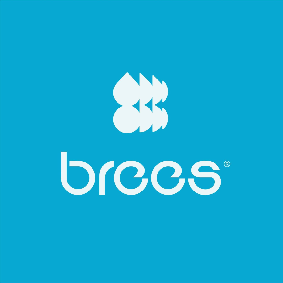 Brees – Higienização, impermeabilização e lavanderia de tapetes